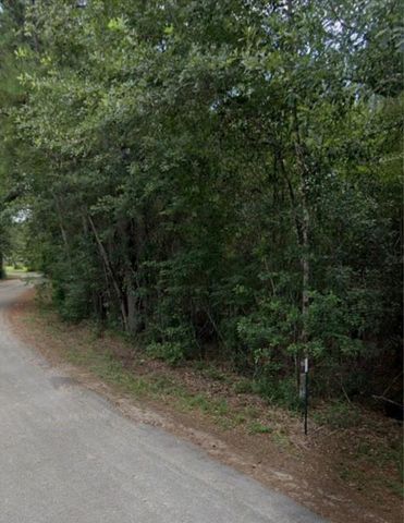 30569 Lake Rd, Waller, TX 77484