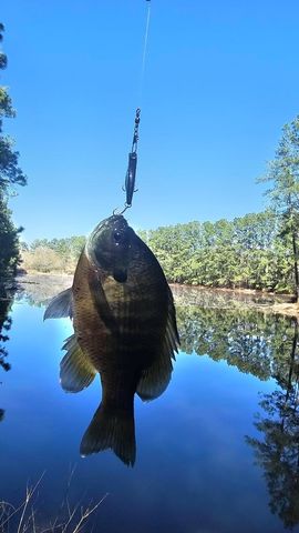 30569 Lake Rd, Waller, TX 77484