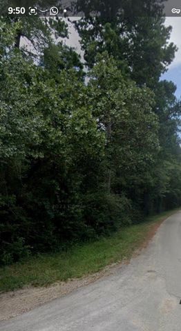 30569 Lake Rd, Waller, TX 77484