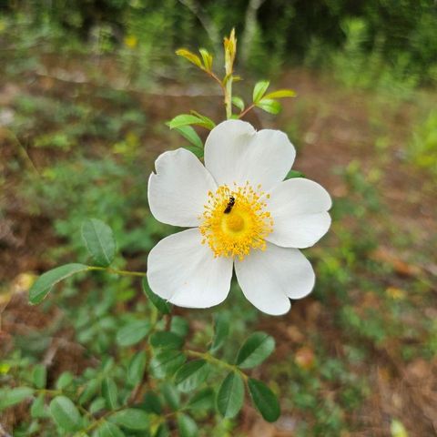 30569 Lake Rd, Waller, TX 77484