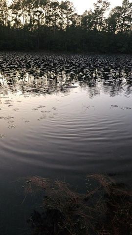 30569 Lake Rd, Waller, TX 77484