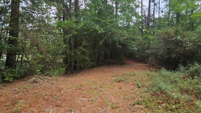 30569 Lake Rd, Waller, TX 77484