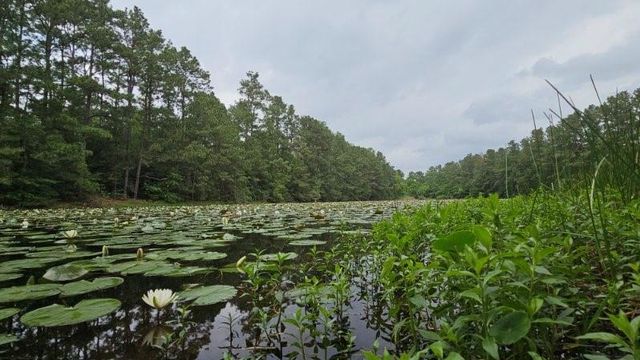 30569 Lake Rd, Waller, TX 77484