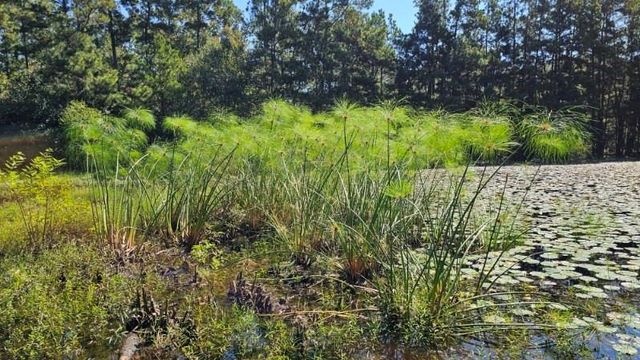 30569 Lake Rd, Waller, TX 77484