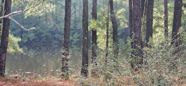 30569 Lake Rd, Waller, TX 77484