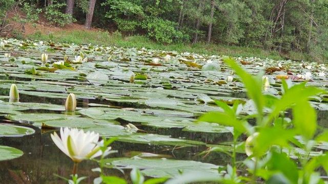 30569 Lake Rd, Waller, TX 77484