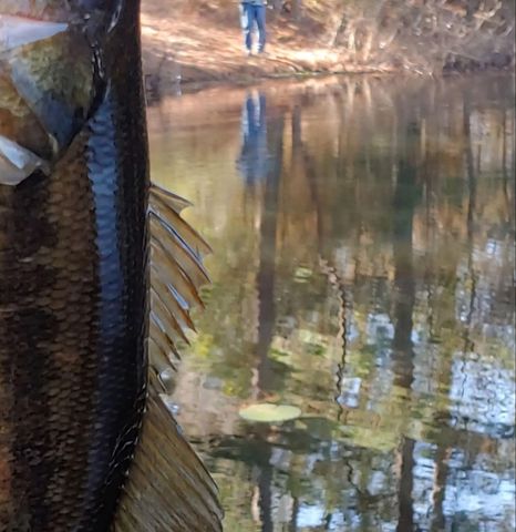 30569 Lake Rd, Waller, TX 77484