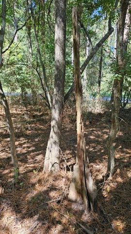 30569 Lake Rd, Waller, TX 77484