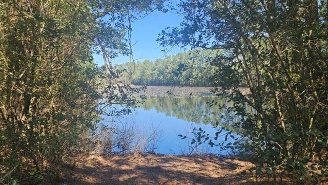 30569 Lake Rd, Waller, TX 77484