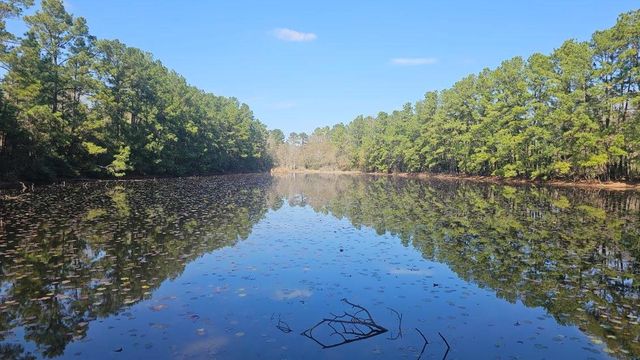 30569 Lake Rd, Waller, TX 77484