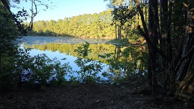 30569 Lake Rd, Waller, TX 77484