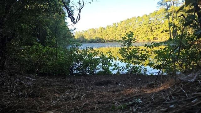 30569 Lake Rd, Waller, TX 77484