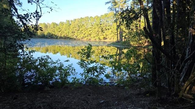 30569 Lake Rd, Waller, TX 77484