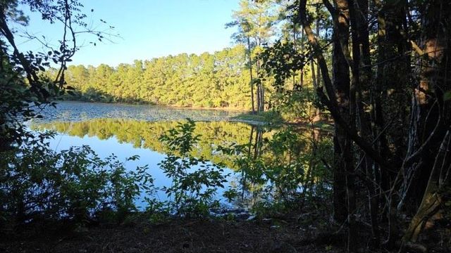 30569 Lake Rd, Waller, TX 77484