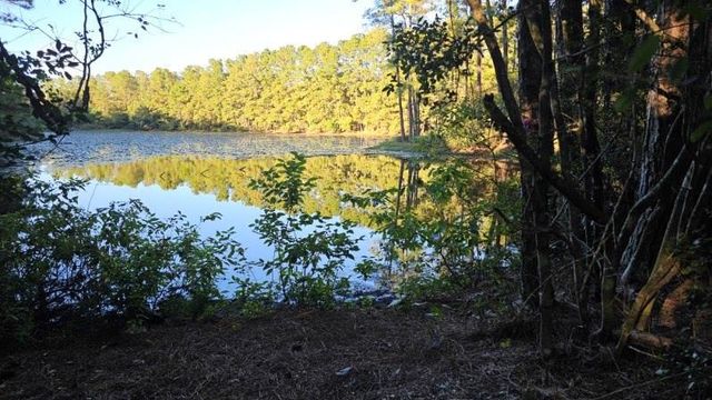 30569 Lake Rd, Waller, TX 77484