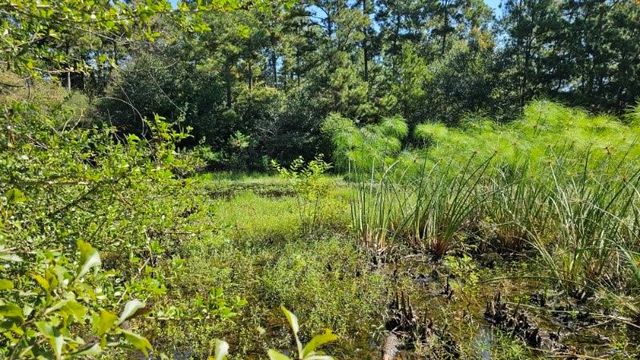 30569 Lake Rd, Waller, TX 77484