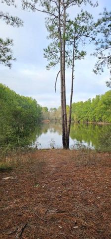 30569 Lake Rd, Waller, TX 77484