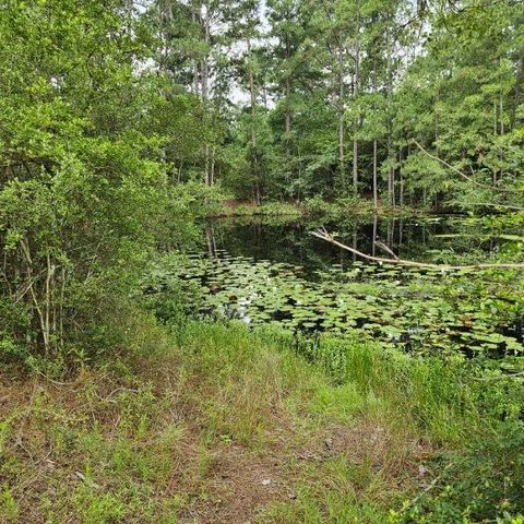 30569 Lake Rd, Waller, TX 77484