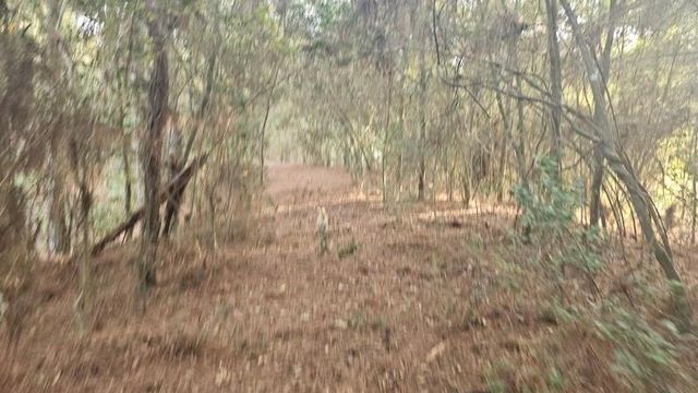 30569 Lake Rd, Waller, TX 77484