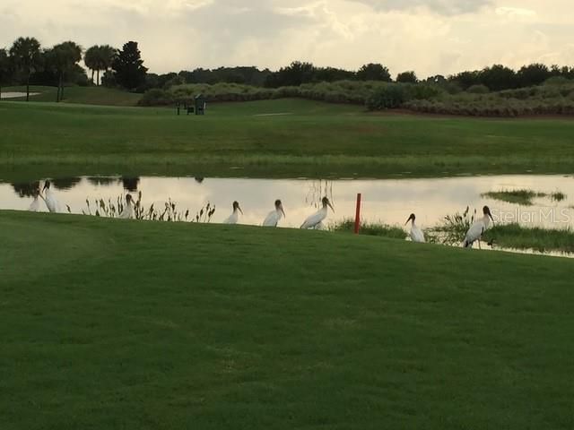 1587 HARTSVILLE TRAIL, The Villages, FL 32162