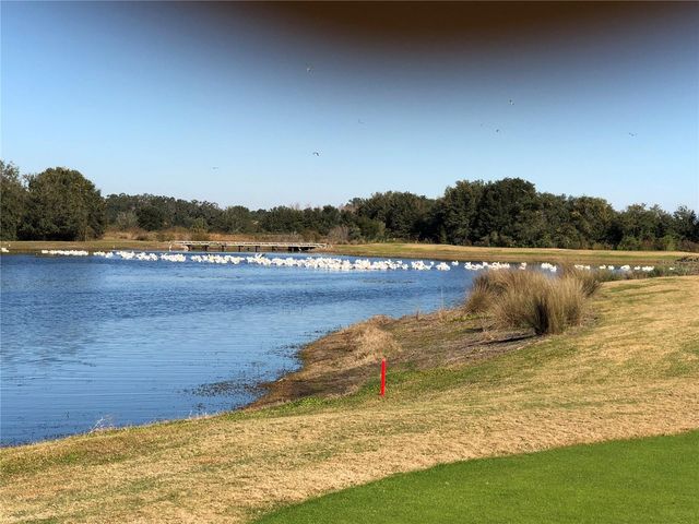 1587 HARTSVILLE TRAIL, The Villages, FL 32162