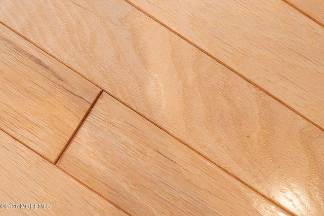 19 Hot Springs Terrace, Barnegat, NJ 08005