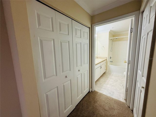 18557 BRIDLE CLUB DRIVE 18557, Tampa, FL 33647