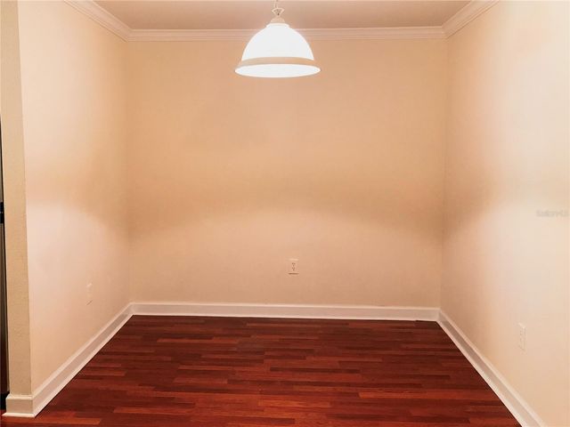 18557 BRIDLE CLUB DRIVE 18557, Tampa, FL 33647