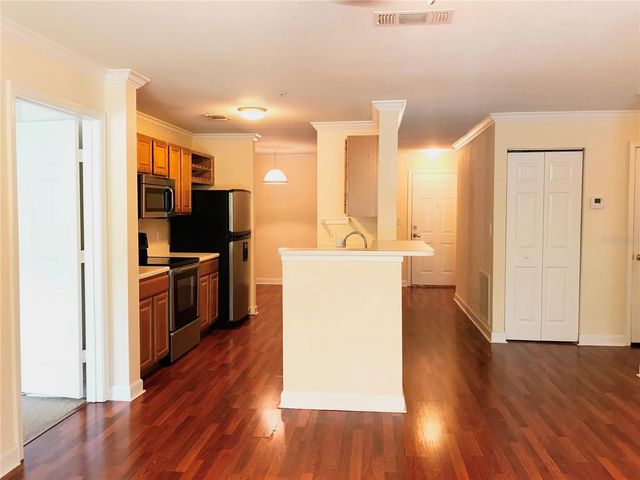 18557 BRIDLE CLUB DRIVE 18557, Tampa, FL 33647