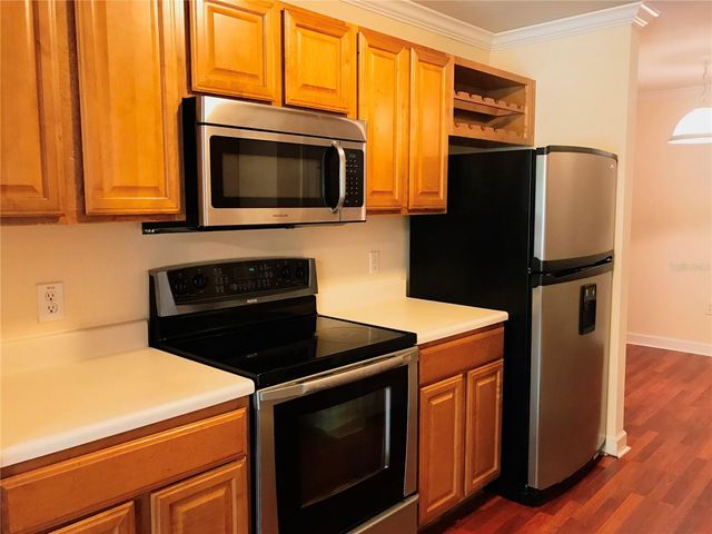 18557 BRIDLE CLUB DRIVE 18557, Tampa, FL 33647