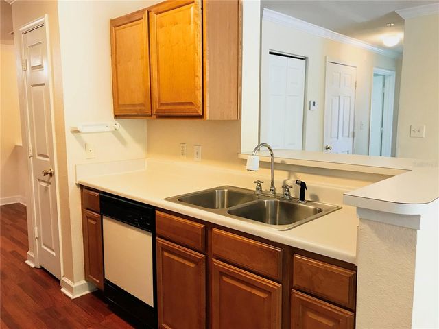 18557 BRIDLE CLUB DRIVE 18557, Tampa, FL 33647