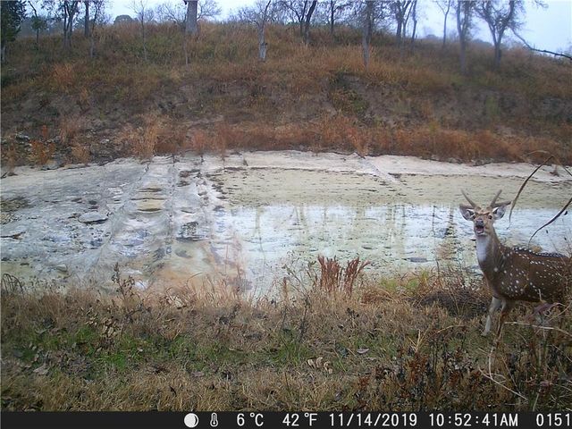 440 Chimney Valley RD, Blanco, TX 78606
