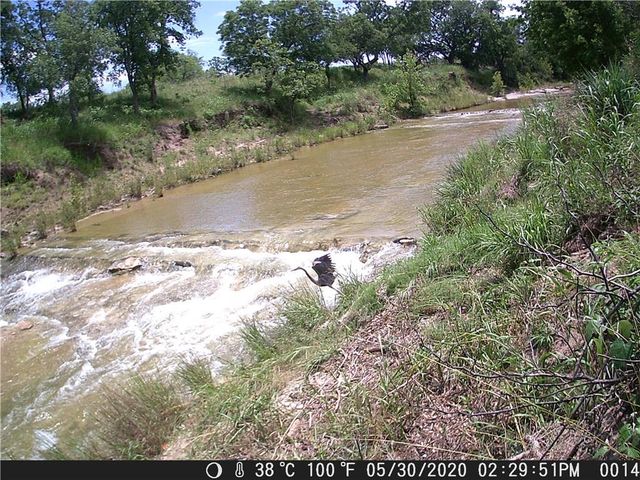 440 Chimney Valley RD, Blanco, TX 78606