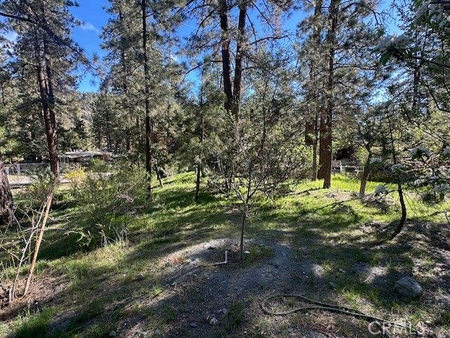 1725 Twin Lakes, Wrightwood, CA 92397