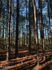 Factory Road, Eupora, MS 39744