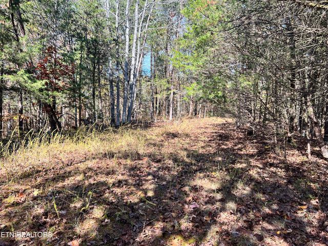 Tract 2 110 Rankin Hill Rd, Newport, TN 37821