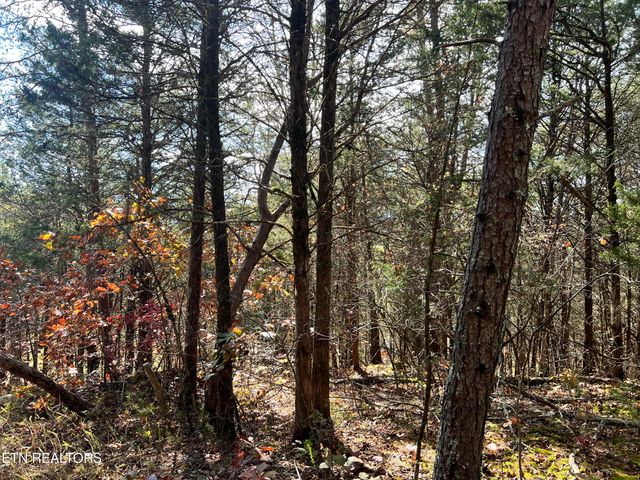 Tract 2 110 Rankin Hill Rd, Newport, TN 37821