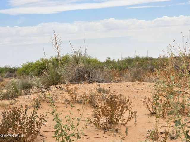 PN-23209 Kaplan Road, Clint, TX 79928