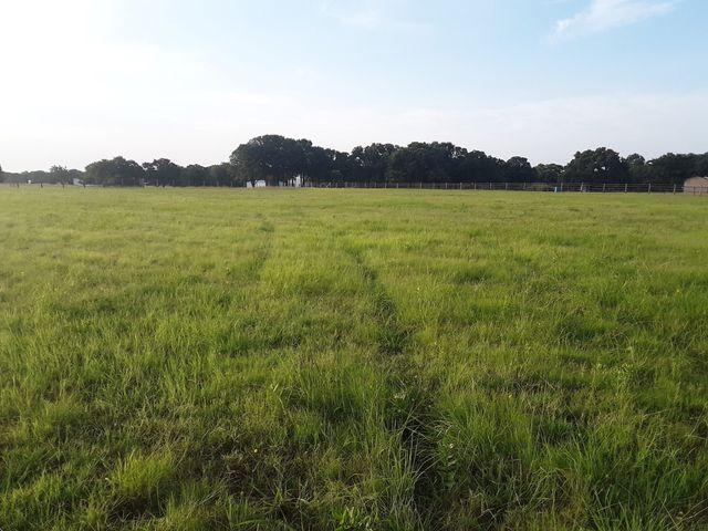 4113 W Line Road, Whitesboro, TX 76273