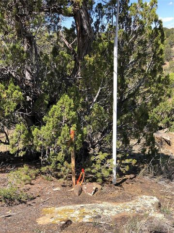 Lot 898 Rio Cucharas Phs 3, Walsenburg, CO 81089