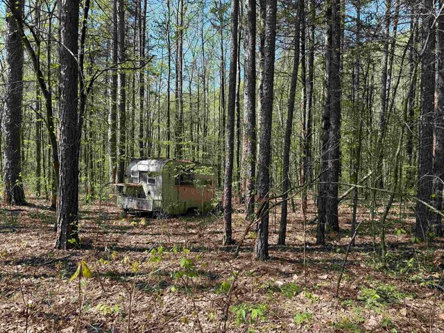 000 Jenkins Road, Clinton, AR 72031
