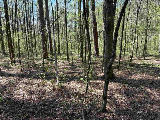 000 Jenkins Road, Clinton, AR 72031