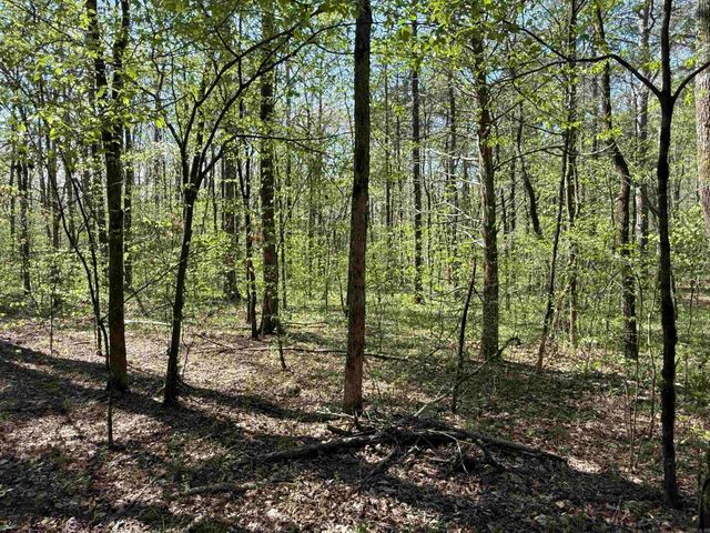 000 Jenkins Road, Clinton, AR 72031