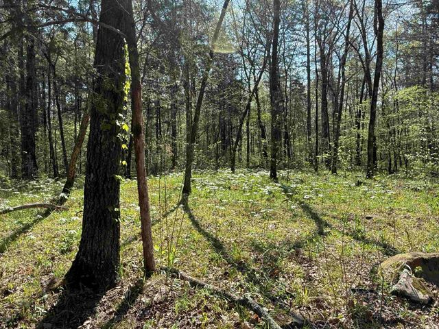 000 Jenkins Road, Clinton, AR 72031
