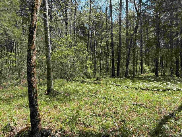 000 Jenkins Road, Clinton, AR 72031