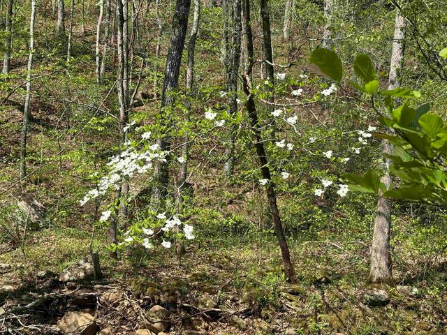 000 Jenkins Road, Clinton, AR 72031
