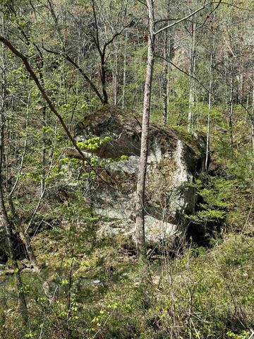 000 Jenkins Road, Clinton, AR 72031