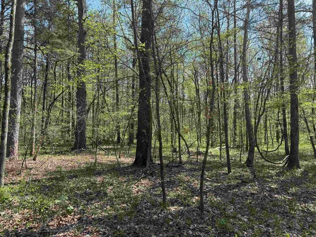 000 Jenkins Road, Clinton, AR 72031