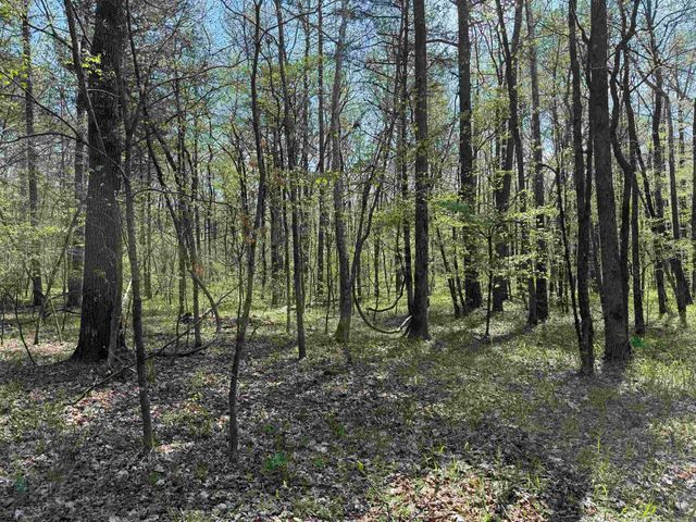 000 Jenkins Road, Clinton, AR 72031