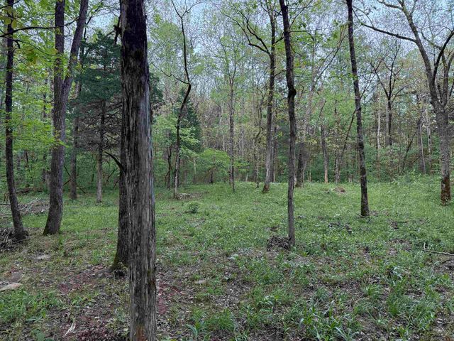 000 Jenkins Road, Clinton, AR 72031